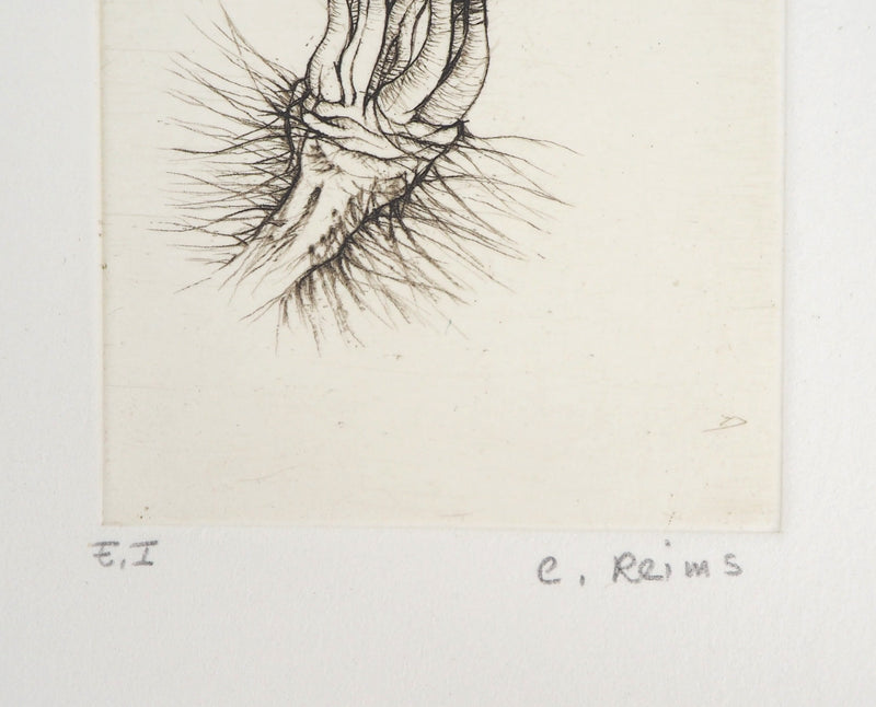 Cecile REIMS : Fleur surréaliste, 2003 - Gravure (détail)