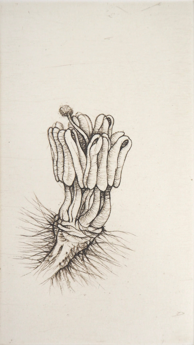 Cecile REIMS : Fleur surréaliste, 2003 - Gravure (détail)