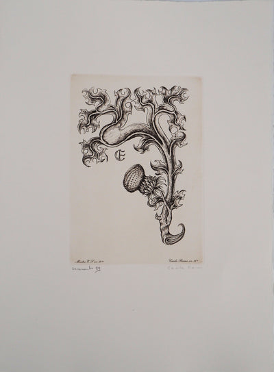 Cécile REIMS : Floraison - Gravure