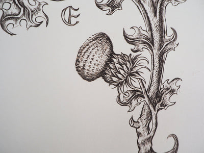 Cécile REIMS : Floraison - Gravure (détail)