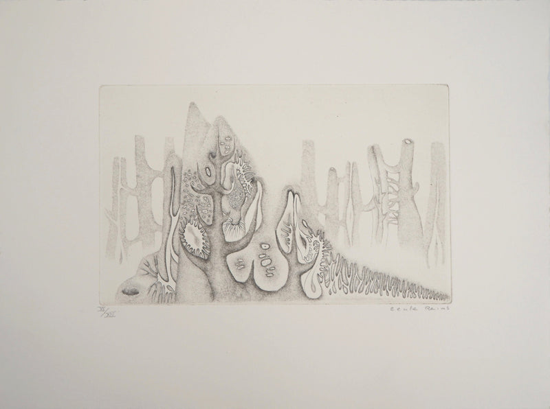 Cecile REIMS : Nature cosmique - Gravure