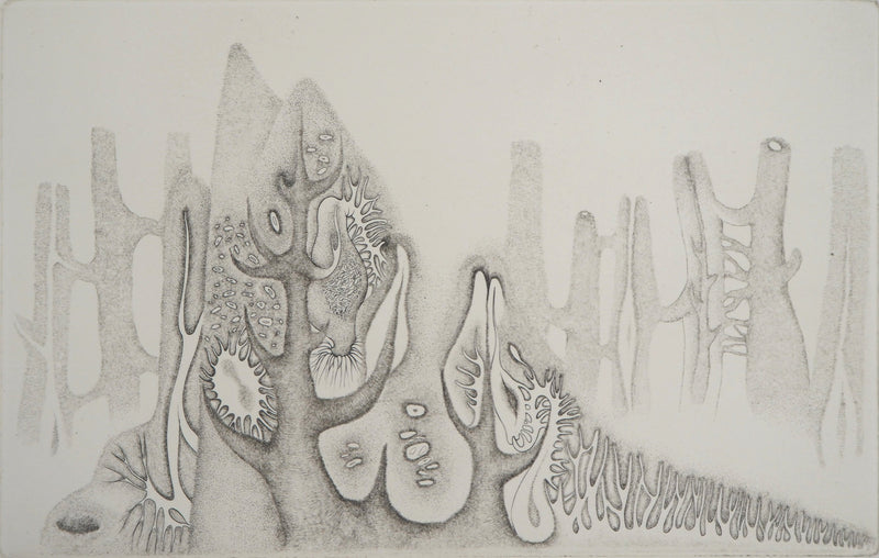 Cecile REIMS : Nature cosmique - Gravure (détail)