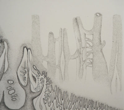 Cecile REIMS : Nature cosmique - Gravure (détail)