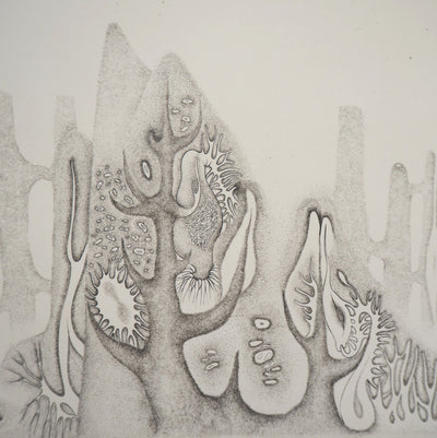 Cecile REIMS : Nature cosmique - Gravure (détail)