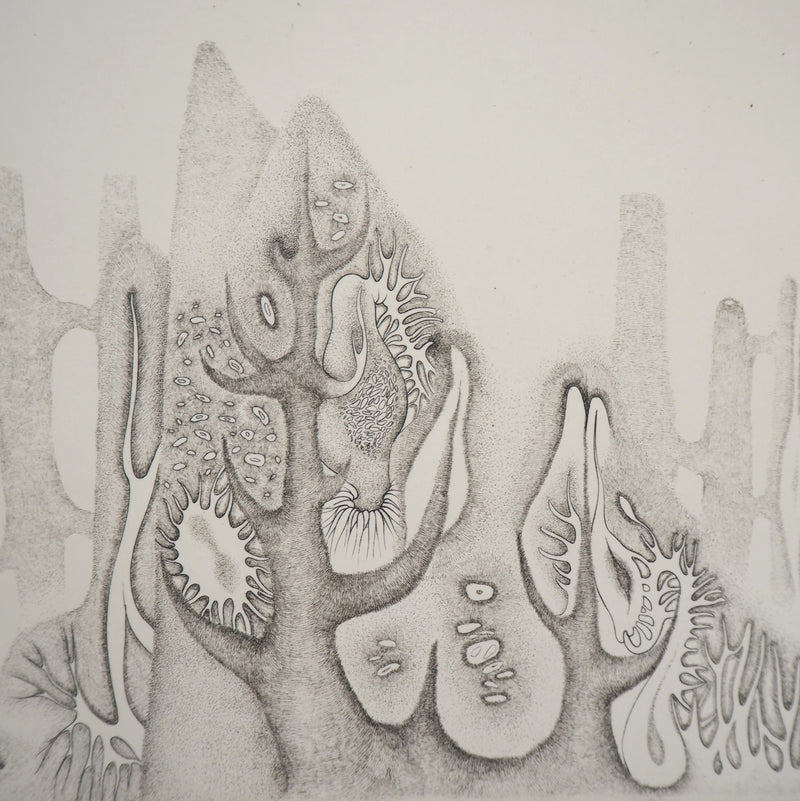 Cecile REIMS : Nature cosmique - Gravure (détail)