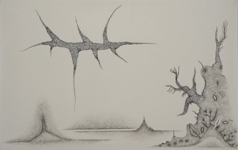 Cecile REIMS : Paysage cosmique - Gravure (détail)