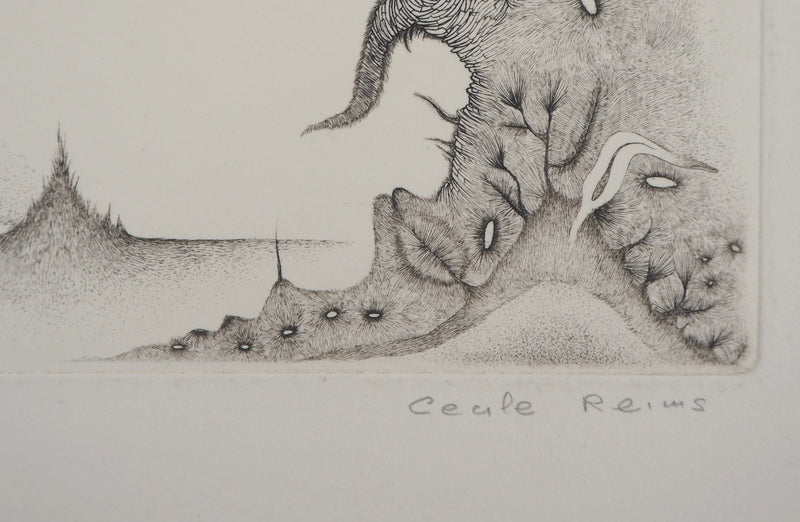 Cecile REIMS : Paysage cosmique - Gravure (détail)