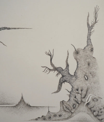 Cecile REIMS : Paysage cosmique - Gravure (détail)