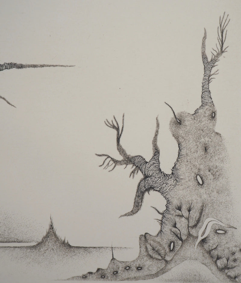 Cecile REIMS : Paysage cosmique - Gravure (détail)