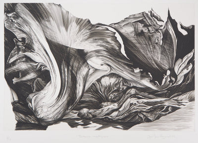 Jean Marc REYMOND : Fantasme mycologique, 1989 - Gravure