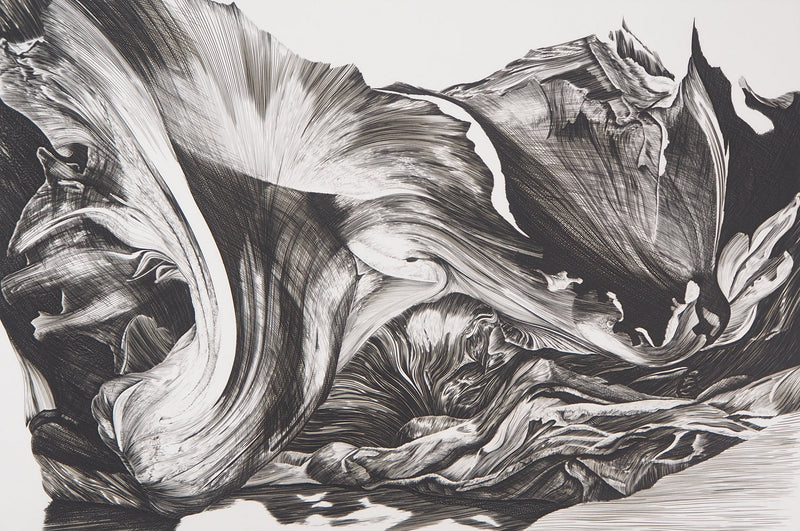 Jean Marc REYMOND : Fantasme mycologique, 1989 - Gravure (détail)