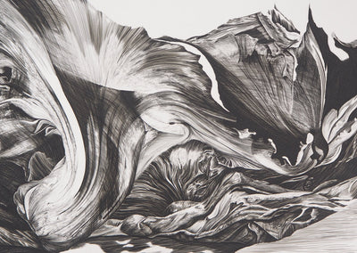 Jean Marc REYMOND : Fantasme mycologique, 1989 - Gravure (détail)