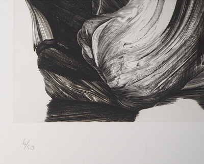 Jean Marc REYMOND : Fantasme mycologique, 1989 - Gravure (détail)