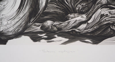 Jean Marc REYMOND : Fantasme mycologique, 1989 - Gravure (détail)