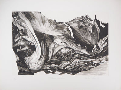 Jean Marc REYMOND : Fantasme mycologique, 1989 - Gravure (détail)