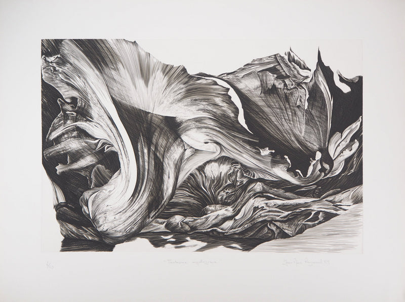 Jean Marc REYMOND : Fantasme mycologique, 1989 - Gravure (détail)