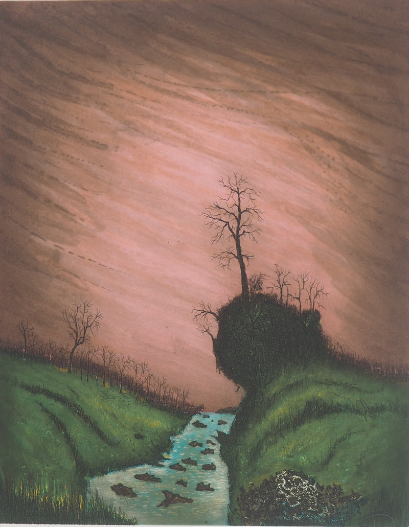 Jacques Joachim Jean Rigal : Les gorges de l&