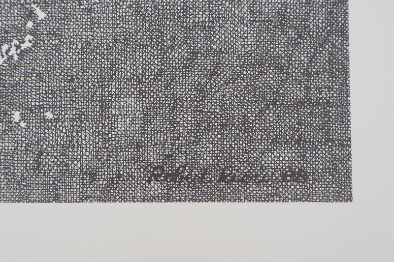 Robert RIOU : Portrait de Marie Curie, 1989 - Lithographie (détail)