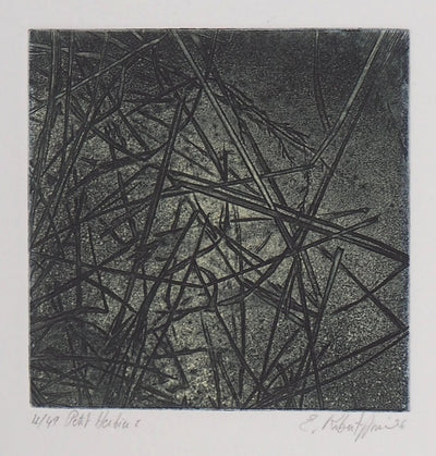 Eric ROBERT-AYME : Herbiers éclatées, 1996 - Gravure