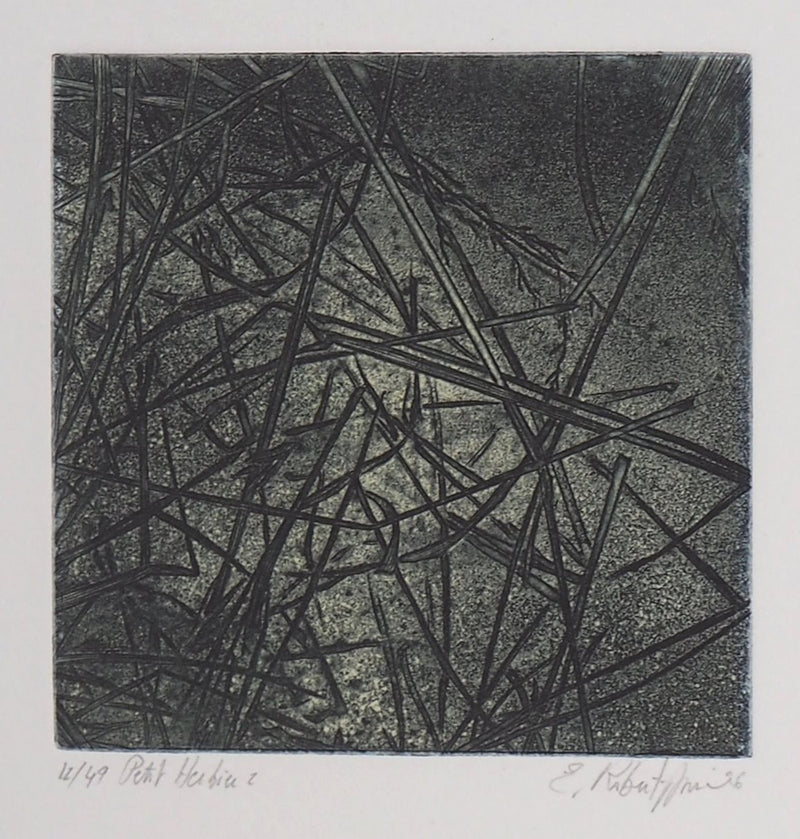 Eric ROBERT-AYME : Herbiers éclatées, 1996 - Gravure