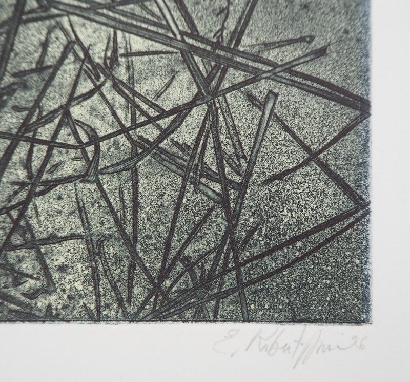 Eric ROBERT-AYME : Herbiers éclatées, 1996 - Gravure (détail)