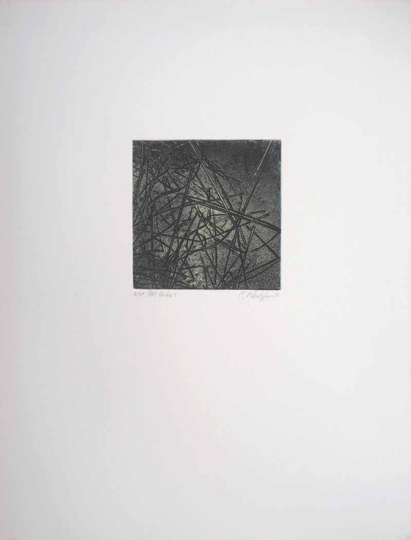 Eric ROBERT-AYME : Herbiers éclatées, 1996 - Gravure (détail)