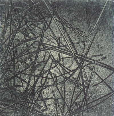 Eric ROBERT-AYME : Herbiers éclatées, 1996 - Gravure (détail)