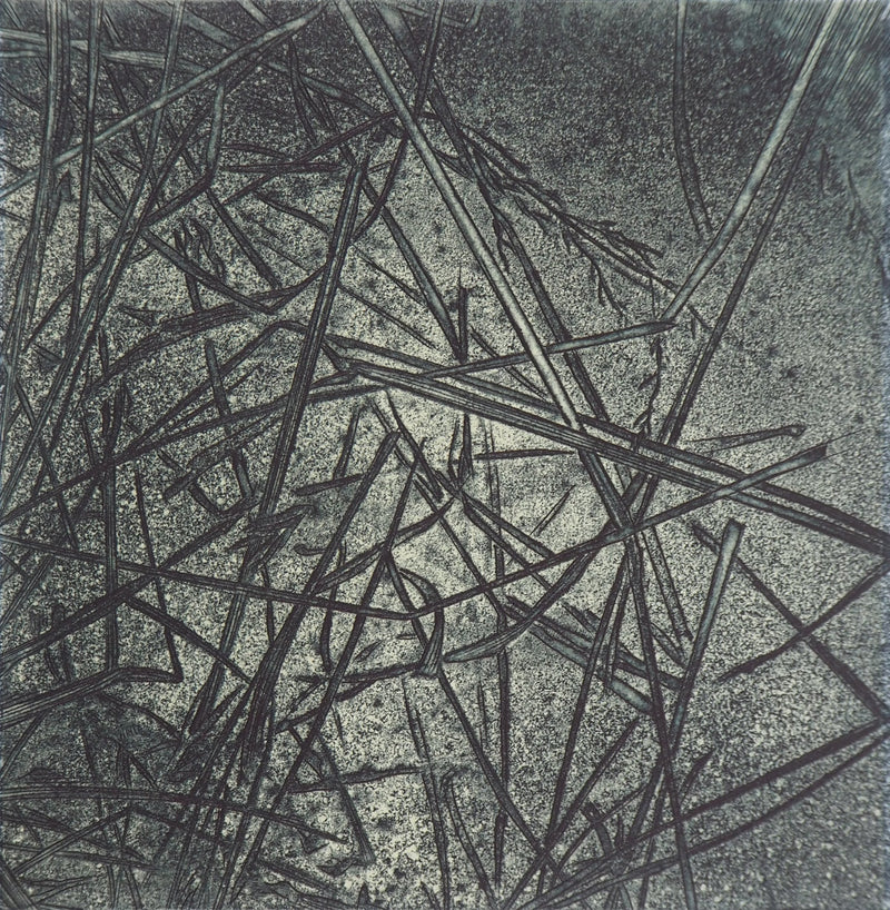 Eric ROBERT-AYME : Herbiers éclatées, 1996 - Gravure (détail)