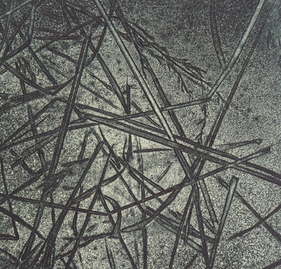 Eric ROBERT-AYME : Herbiers éclatées, 1996 - Gravure (détail)