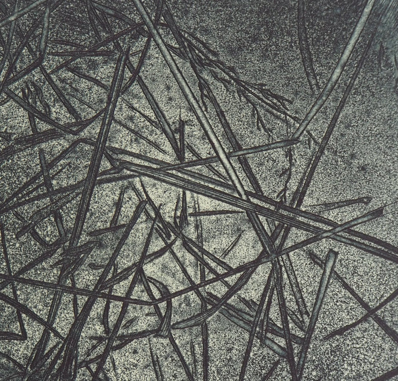 Eric ROBERT-AYME : Herbiers éclatées, 1996 - Gravure (détail)