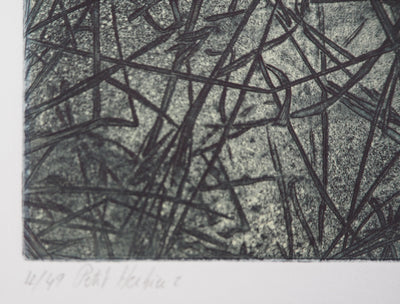 Eric ROBERT-AYME : Herbiers éclatées, 1996 - Gravure (détail)