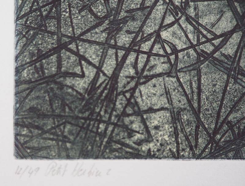 Eric ROBERT-AYME : Herbiers éclatées, 1996 - Gravure (détail)