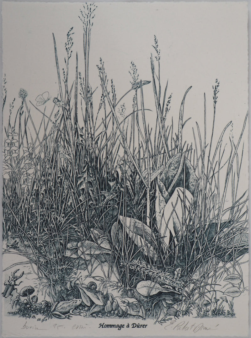 Eric ROBERT-AYME : Hommage à Dürer, 1995 - Gravure