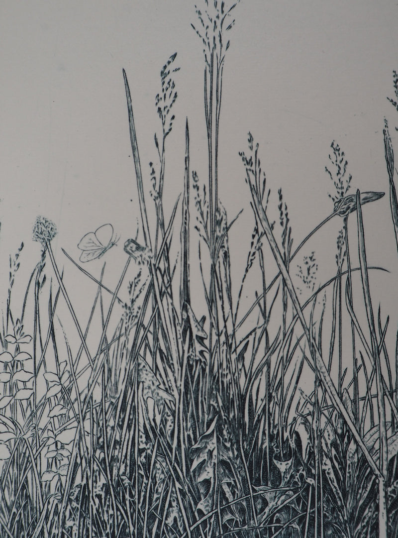 Eric ROBERT-AYME : Hommage à Dürer, 1995 - Gravure (détail)
