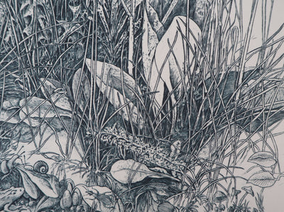 Eric ROBERT-AYME : Hommage à Dürer, 1995 - Gravure (détail)