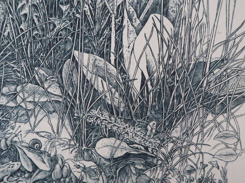 Eric ROBERT-AYME : Hommage à Dürer, 1995 - Gravure (détail)