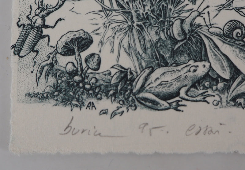 Eric ROBERT-AYME : Hommage à Dürer, 1995 - Gravure (détail)