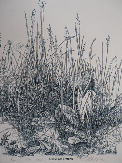 Eric ROBERT-AYME : Hommage à Dürer, 1995 - Gravure (détail)
