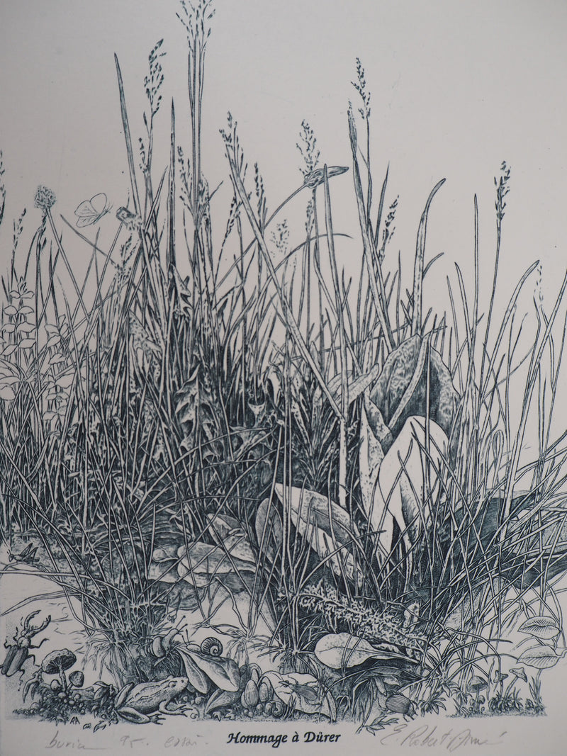 Eric ROBERT-AYME : Hommage à Dürer, 1995 - Gravure (détail)