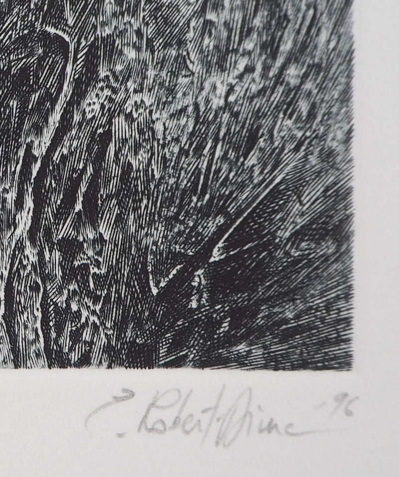 Eric ROBERT-AYME : Palimpseste giclé, 1996 - Gravure (détail)