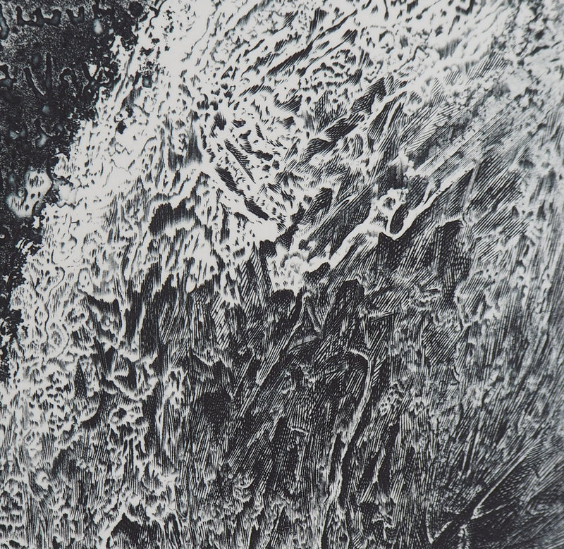 Eric ROBERT-AYME : Palimpseste giclé, 1996 - Gravure (détail)