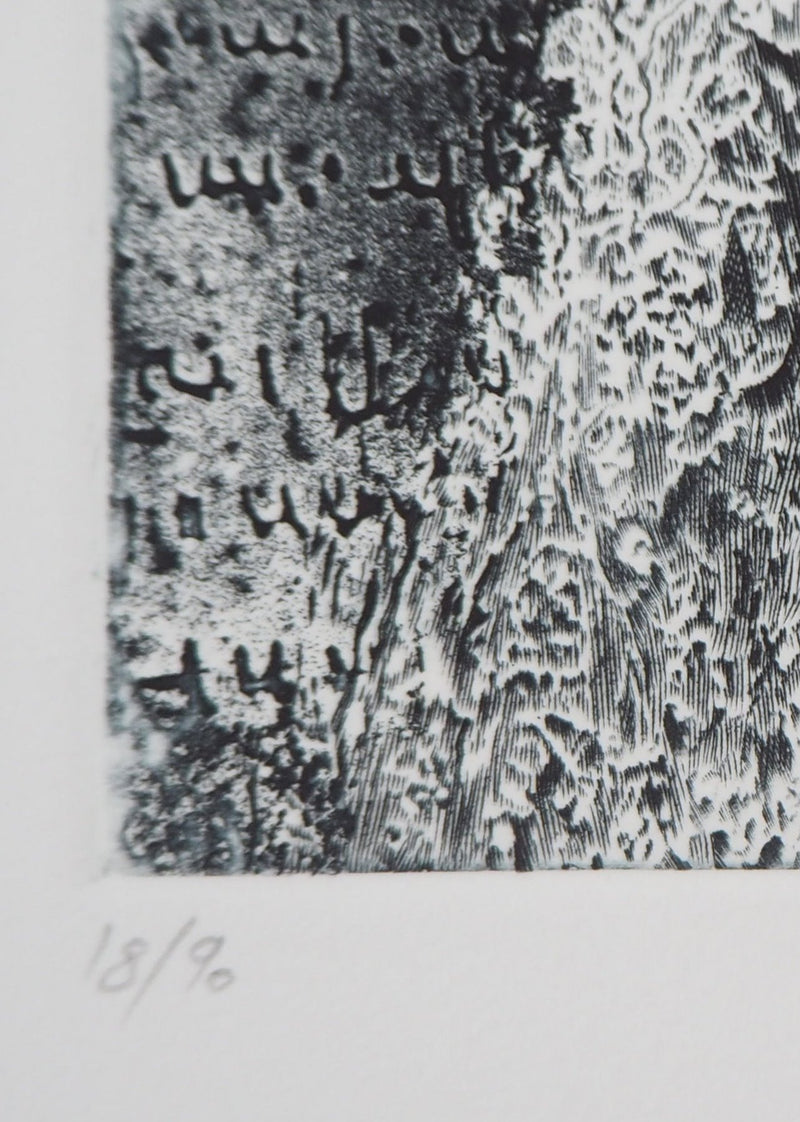 Eric ROBERT-AYME : Palimpseste giclé, 1996 - Gravure (détail)