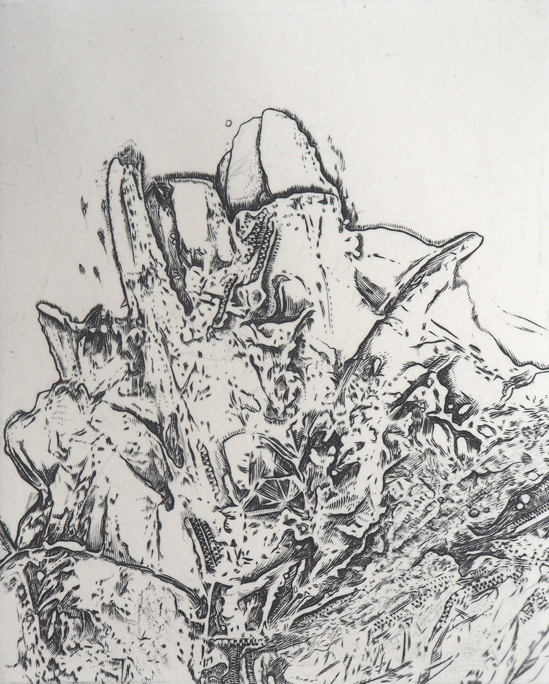 Eric ROBERT-AYME : Sommet surréaliste, 2000 - Gravure (détail)