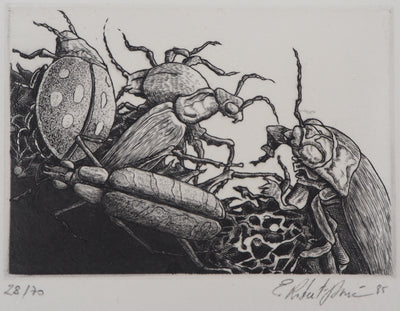 Eric ROBERT-AYME : La vie sous Terre, 1985 - Gravure