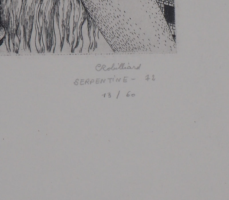 Christian ROBILLIARD : Serpentine, 1972  - Gravure (détail)
