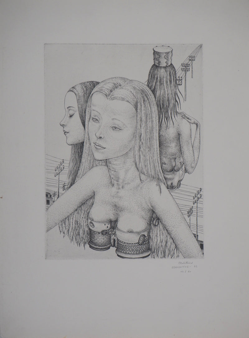 Christian ROBILLIARD : Serpentine, 1972  - Gravure (détail)