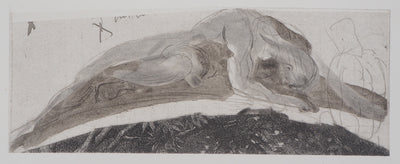 Auguste RODIN : Attaché au rocher - Héliogravure