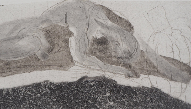 Auguste RODIN : Attaché au rocher - Héliogravure (détail)
