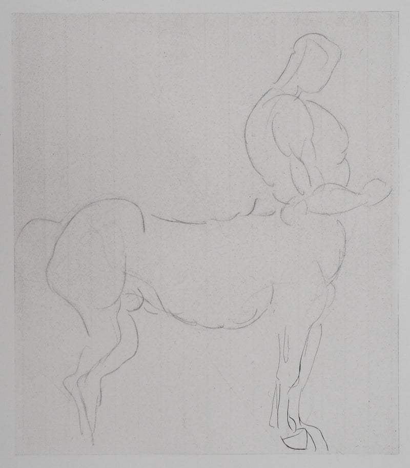 Auguste RODIN : Centaure - Héliogravure