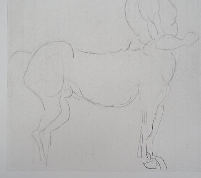 Auguste RODIN : Centaure - Héliogravure (détail)
